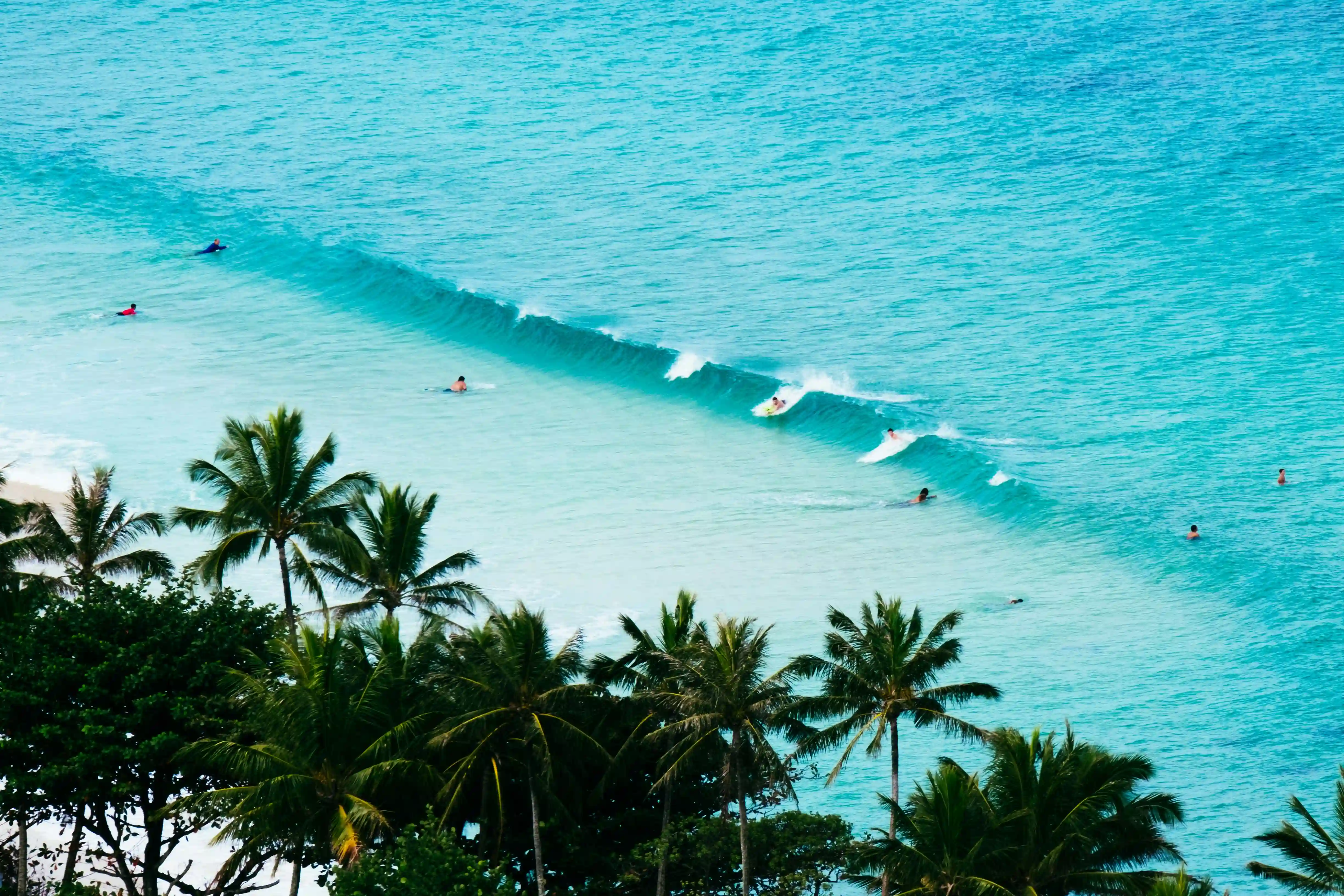 Surfers in the lineup